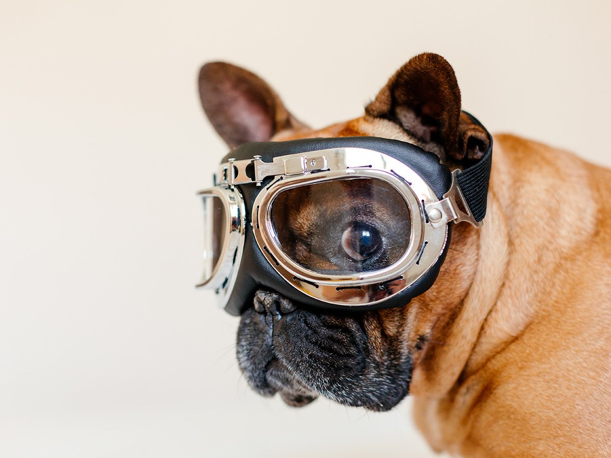 Funny Quotes About Teacher And Student Classroom Humor