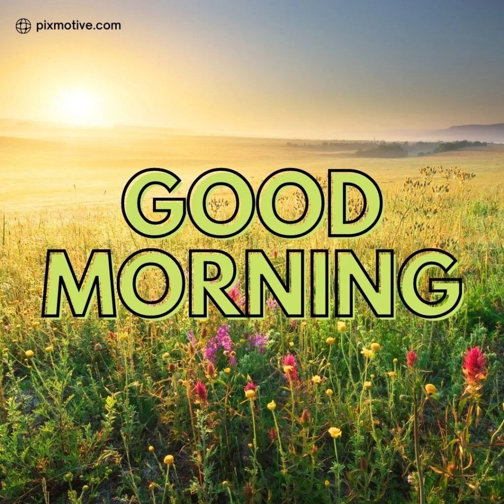 Good Luck Sayings for Exams: Best Wishes To Students